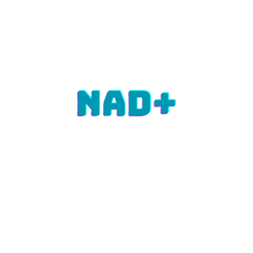 NAD+ (500mg)
